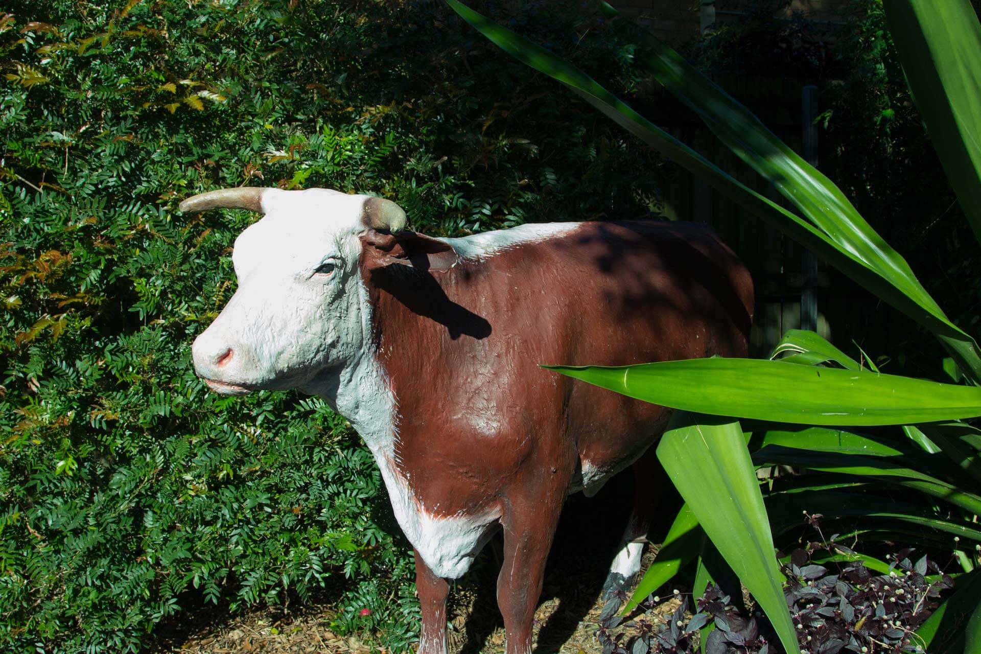 Gold Coast Steak House Restaurants Cav's Labrador